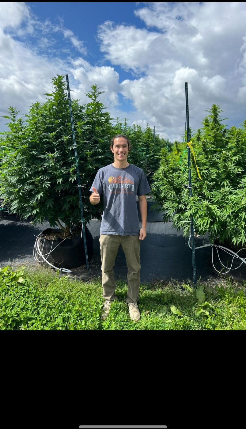 Jayson Butler, Extraction Specialist and Process Engineer, standing in a cannabis field